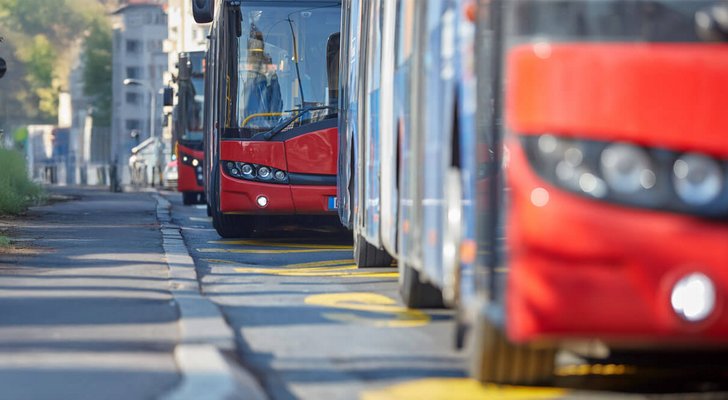 Multiple red city buses queued along a curbside bus stop
