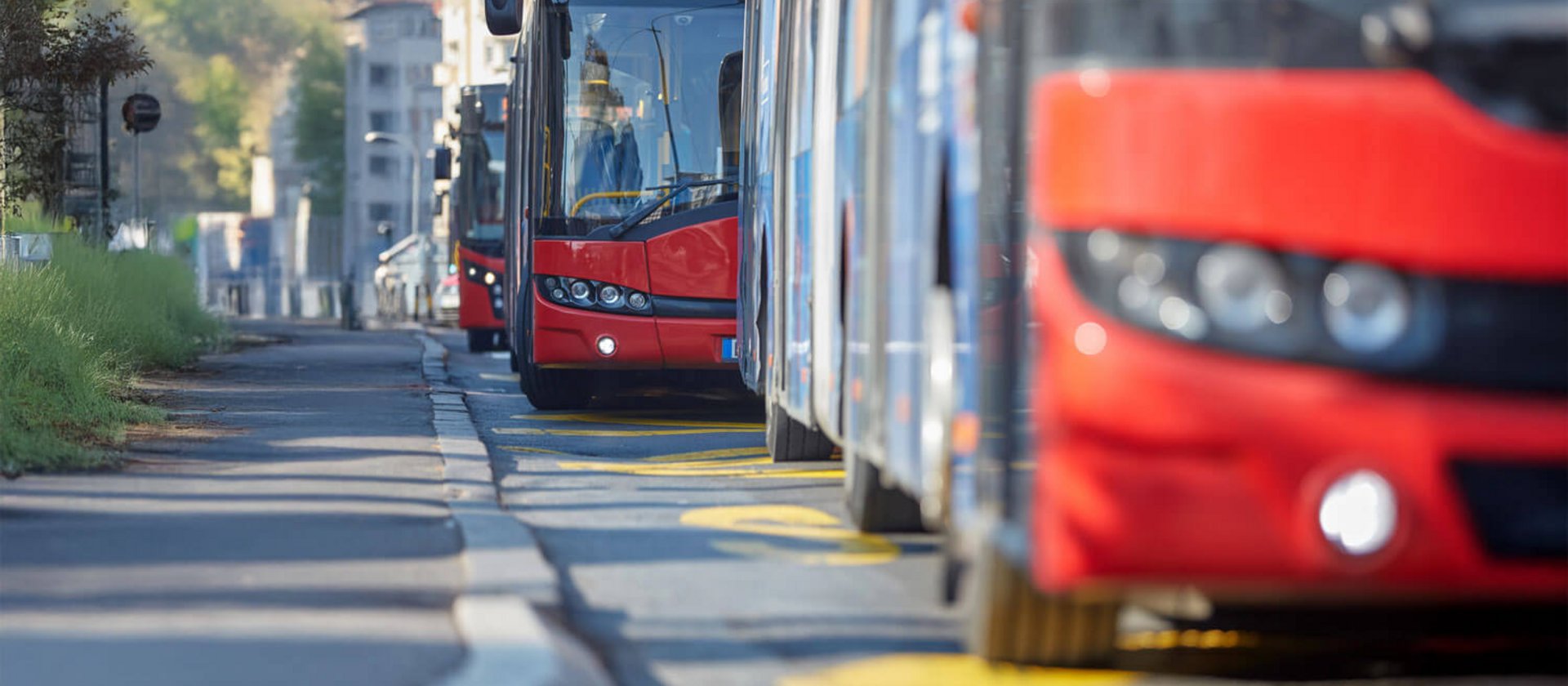 Multiple red city buses queued along a curbside bus stop